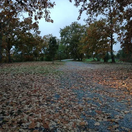Quinta Rural - Nossa Sra Do Carmo. * Teixoso