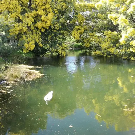 Quinta Rural - Nossa Sra Do Carmo. Teixoso