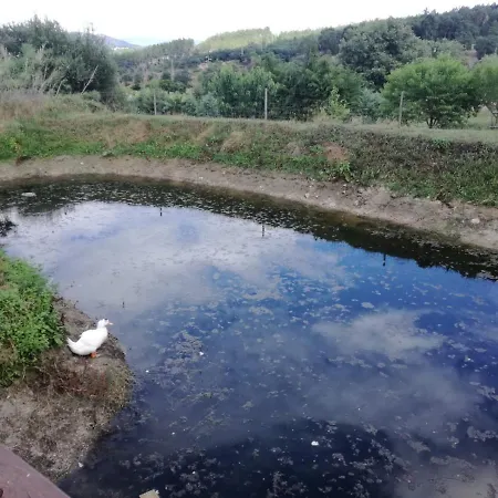 Quinta Rural - Nossa Sra Do Carmo. * Teixoso