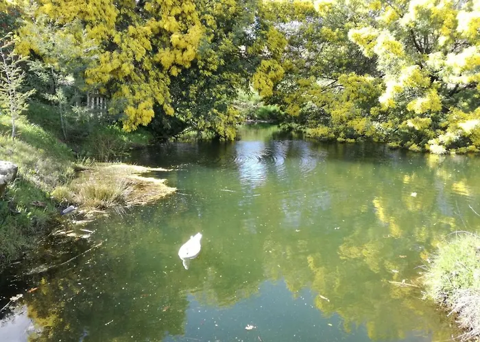 Quinta Rural - Nossa Sra Do Carmo. Teixoso