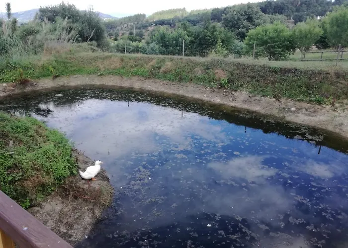 Quinta Rural - Nossa Sra Do Carmo. * Teixoso